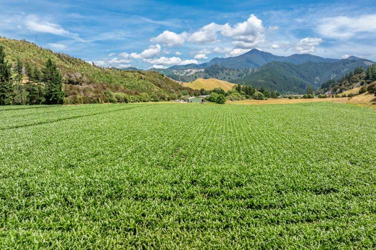 140 Leslies Road Okaramio_33