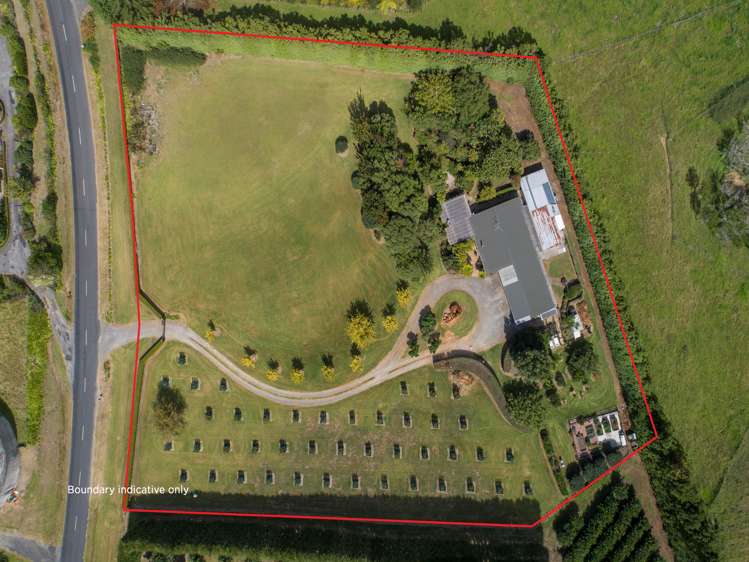84 Plummer Road Whakamarama_27
