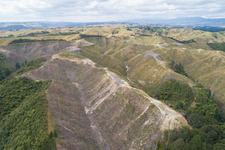 Ridge Road Pohangina_5