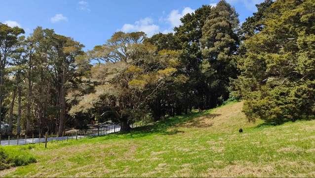 lot 2/581 Valley Road Kaiwaka_4