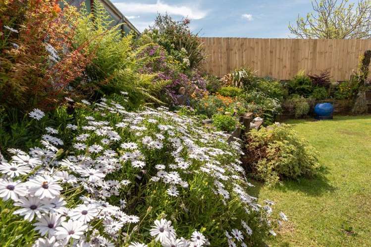 8 Gordon Street Te Puke_14