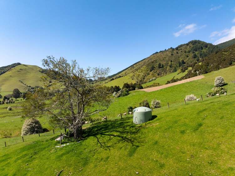 2323 Motueka Valley Highway Ngatimoti_37