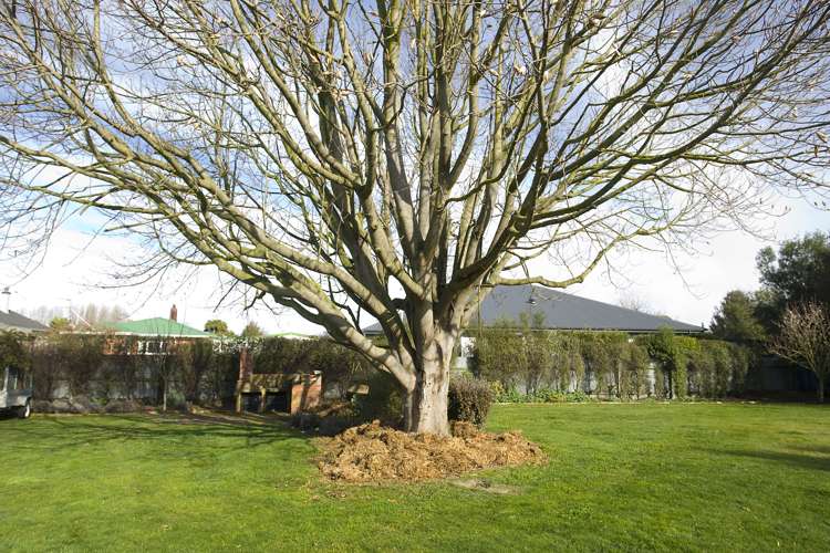 47 Trevors Road Hampstead_15