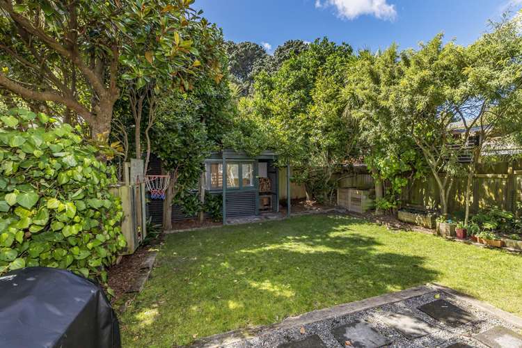 33 Edinburgh Terrace Berhampore_13
