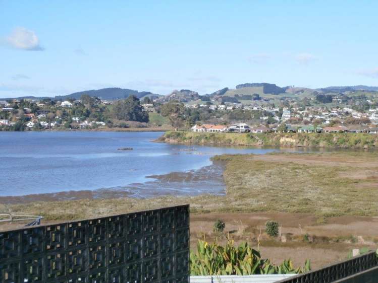 82a Harrier Street Parkvale_6