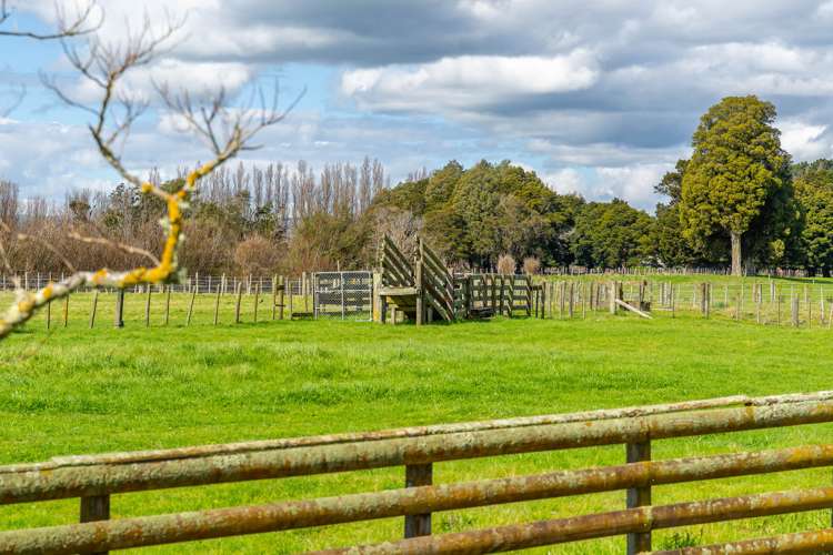 73 Udy Street Greytown_29