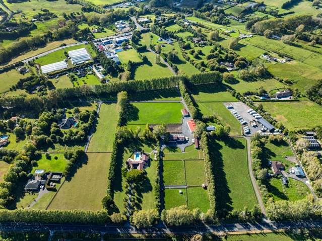 55 Postman Road Dairy Flat_3