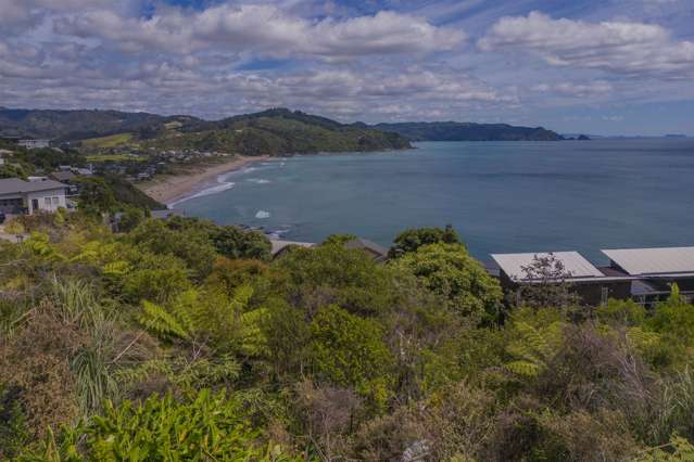 6 Fantail Terrace Tairua_2