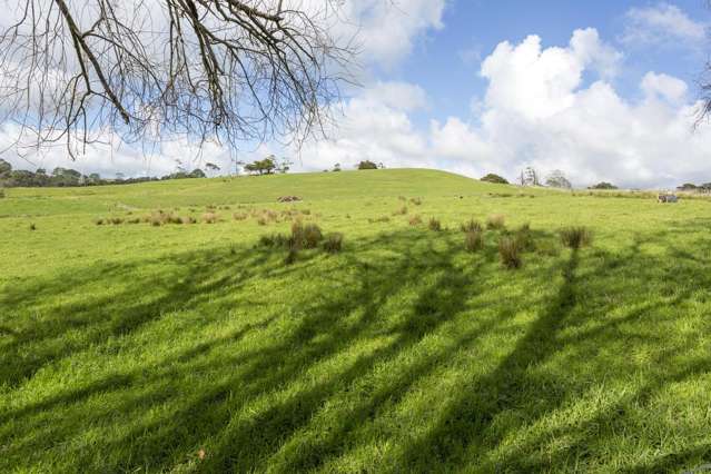 108 Kanohi Road Kaukapakapa_3