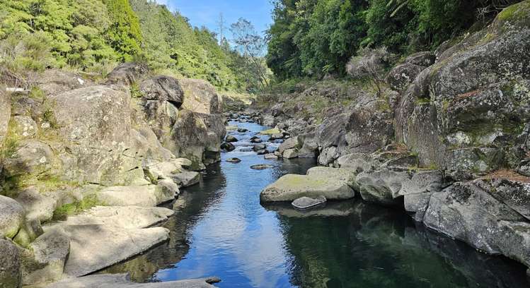 112 Ruahihi Road Lower Kaimai_23