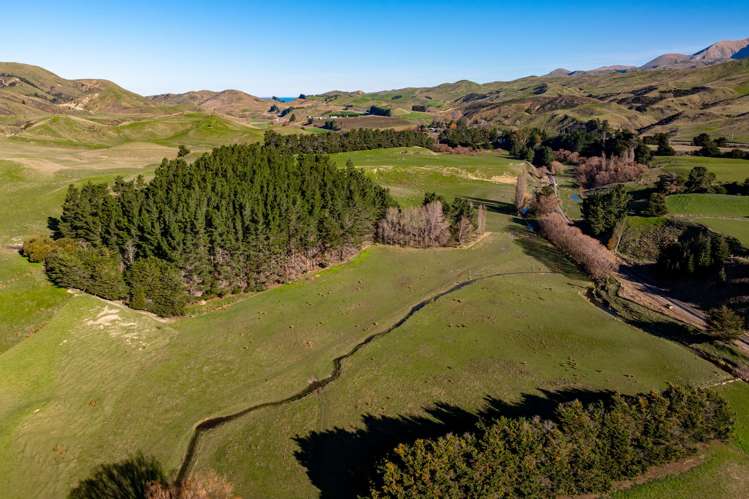 7611 State Highway 1 Ward_20