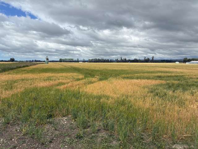 215 Falvey Road Levels_4