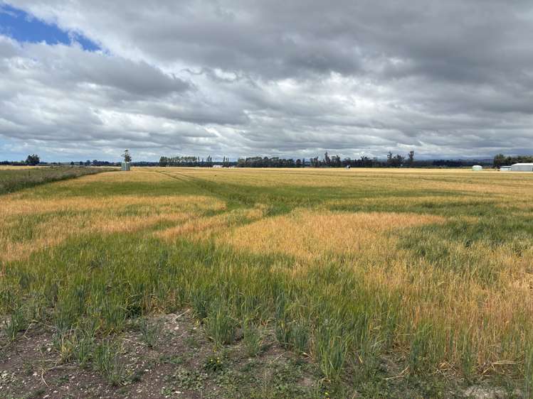 215 Falvey Road Levels_4