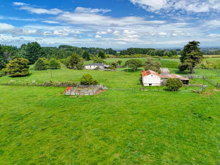 1173 Karahaki Road Waverley_19