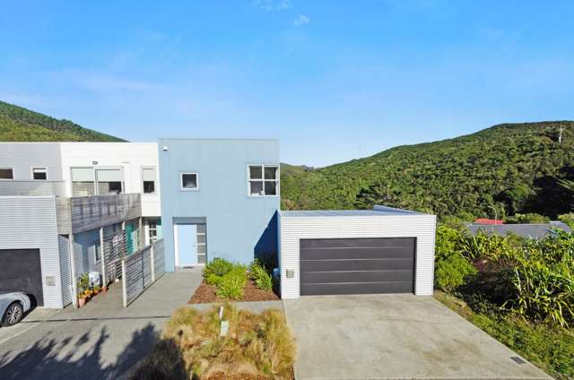 1 Saddleback Grove Karori_1