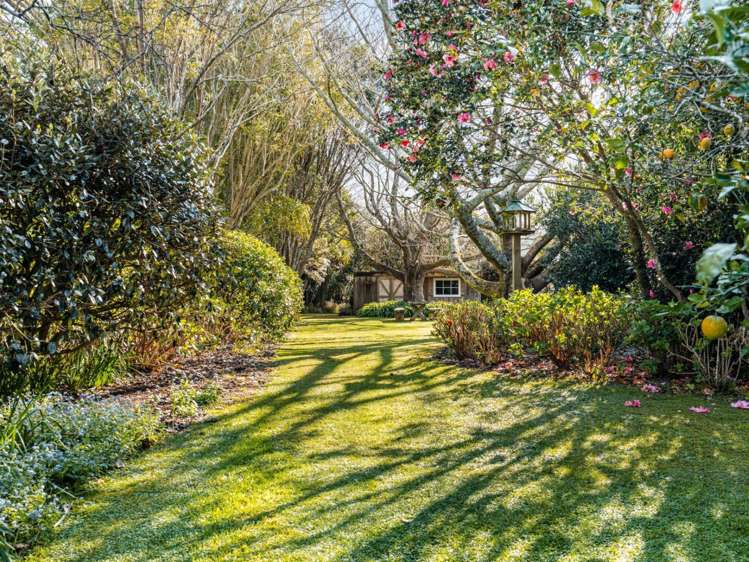 439A Wainui South Road Whakamarama_23