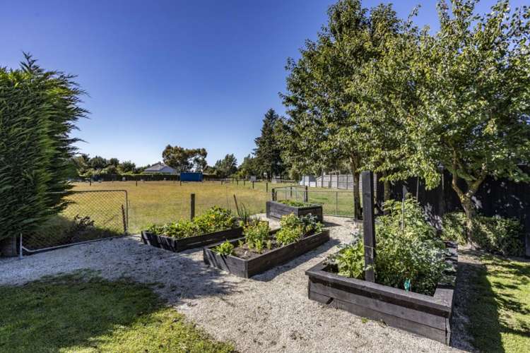 19 King Street Coalgate_24