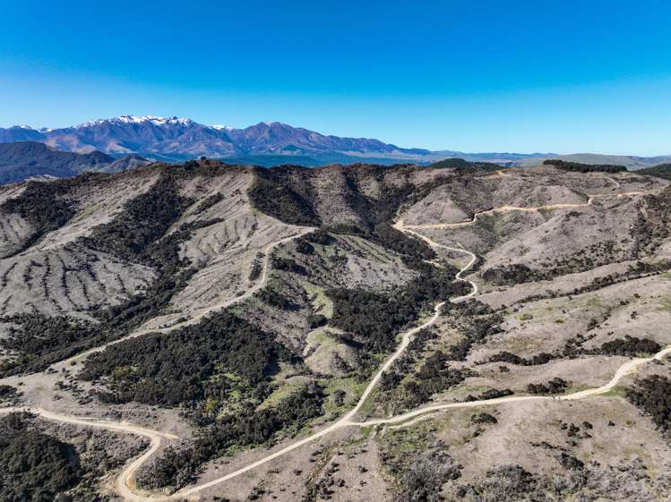 383 Lake Monowai Road Monowai_6