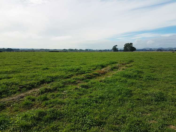 221 Troup Road Woodville_10