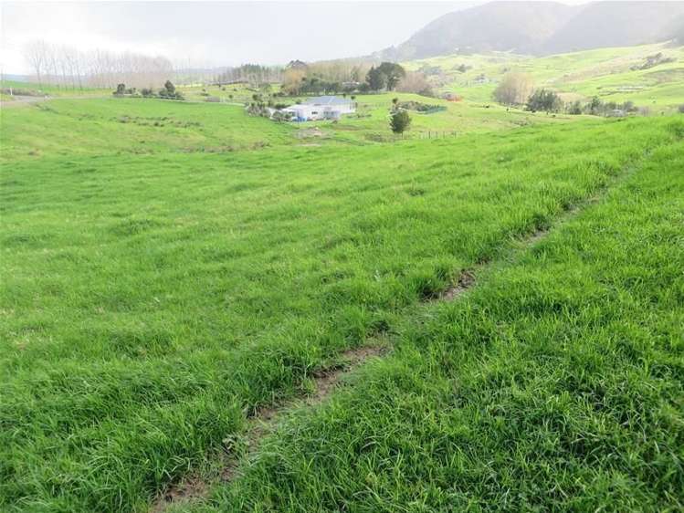 278 Mountain Road Maungaturoto_7