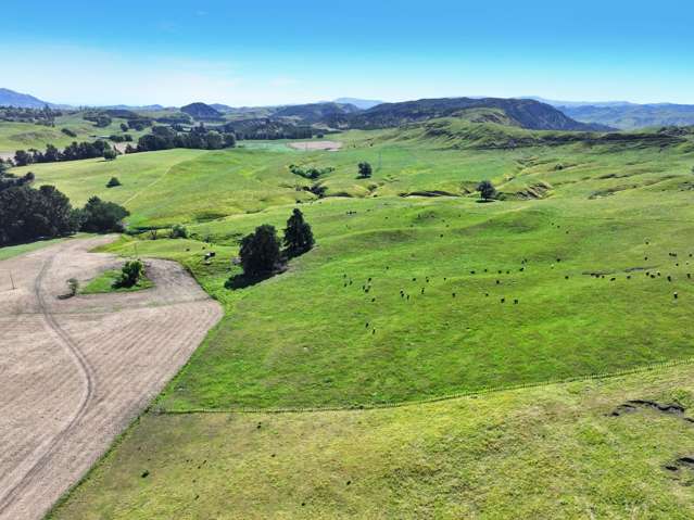 4551 Wairoa Road Tutira_3