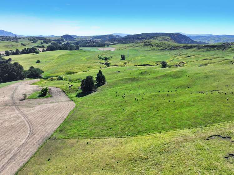 4551 Wairoa Road Tutira_3