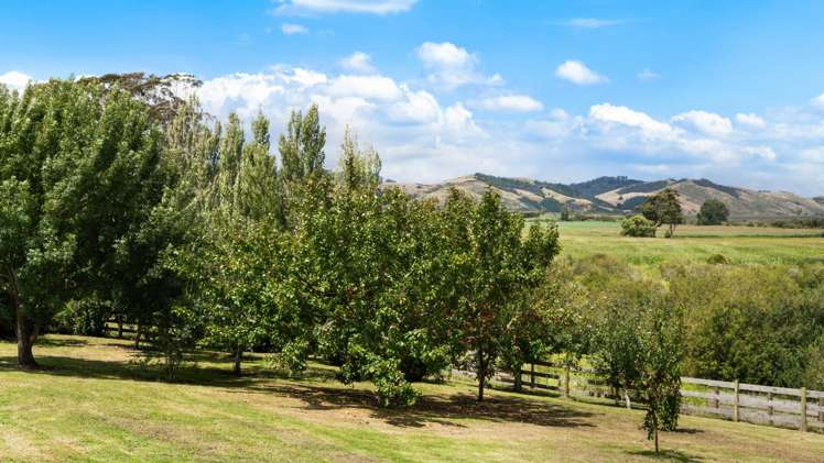 780 Island Block Road Te Kauwhata_23