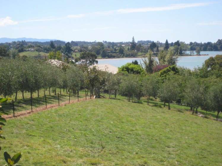 67a Westdale Road Redwood Valley_24