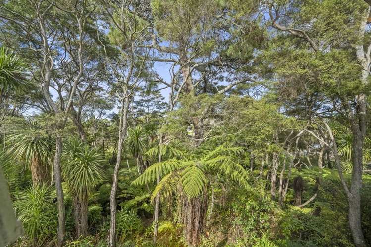 82a Willerton Avenue New Lynn_18