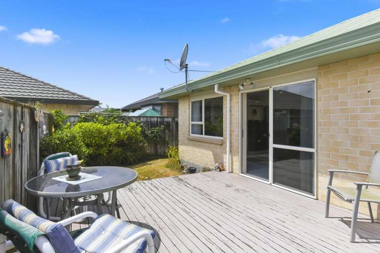 61B Winchester Street Levin_14