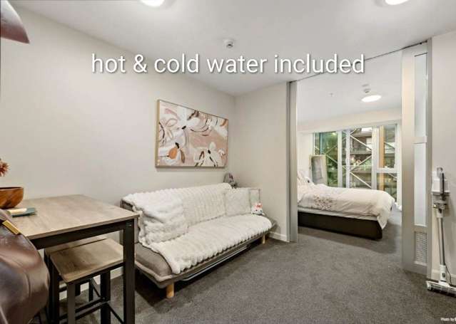Stylish Apartment in Auckland Central