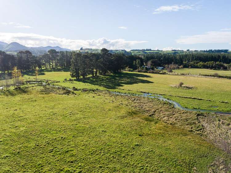 809 Norfolk Road Carterton_6