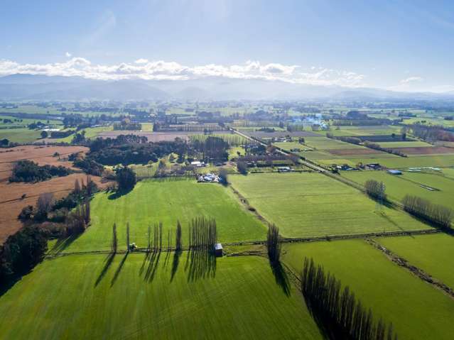 112 Ahikouka Road Greytown_3