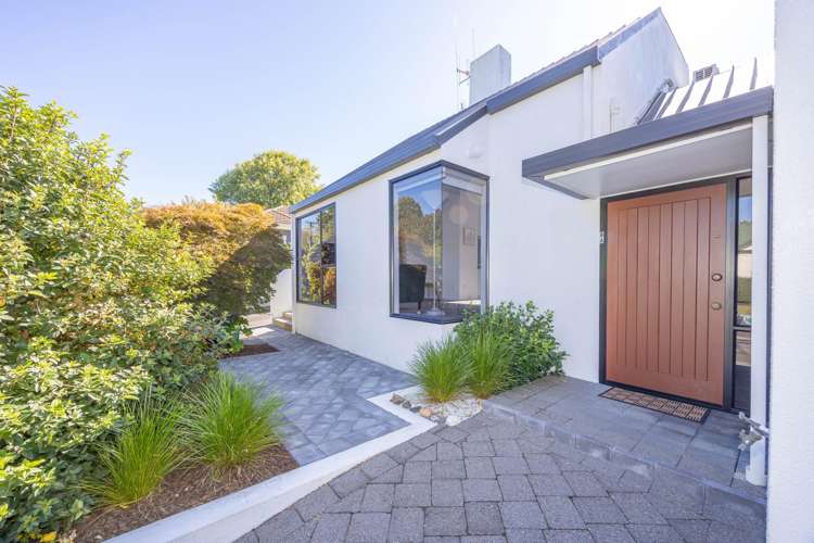 8A George Street Claudelands_29