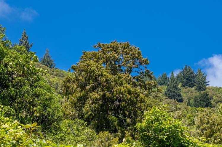 185 Kanuka Rise Wakapuaka_22