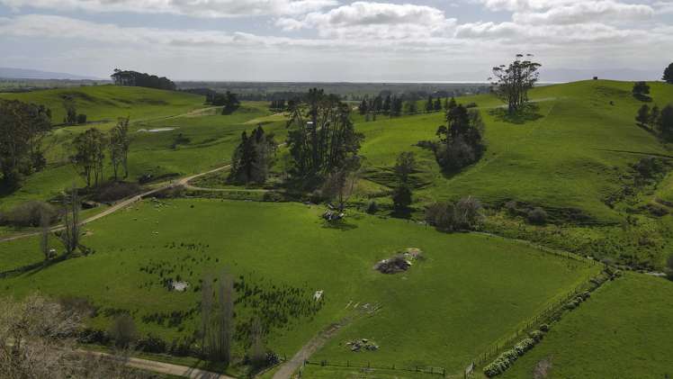 3629 State Highway 2 and Coxhead Road Mangatarata_4