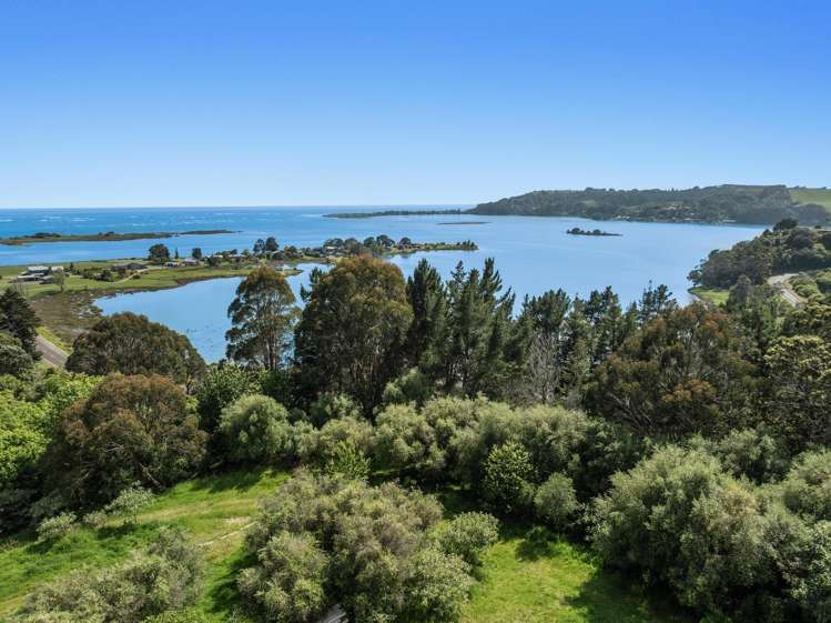 93 Loop Road Ohiwa_21