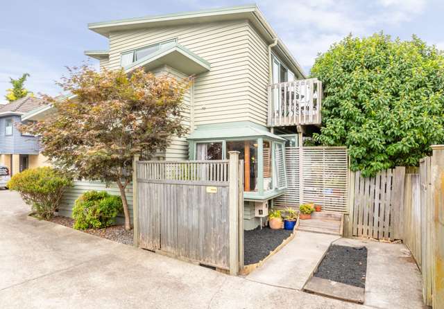 19a Arran Street Avondale_1