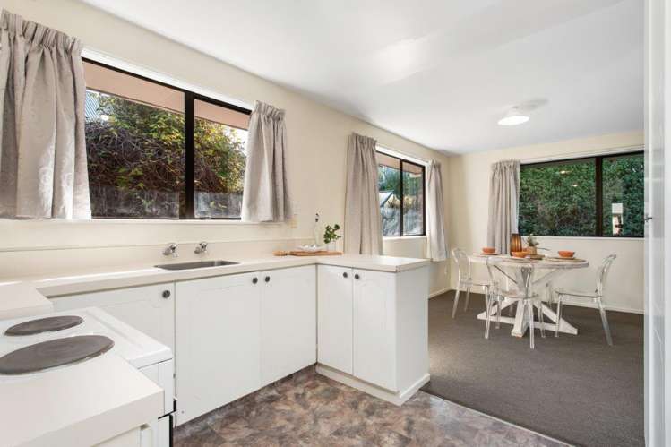 3 Millar Street Sydenham_4
