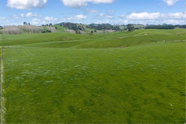 1698 Hetherington Road Huntly_4