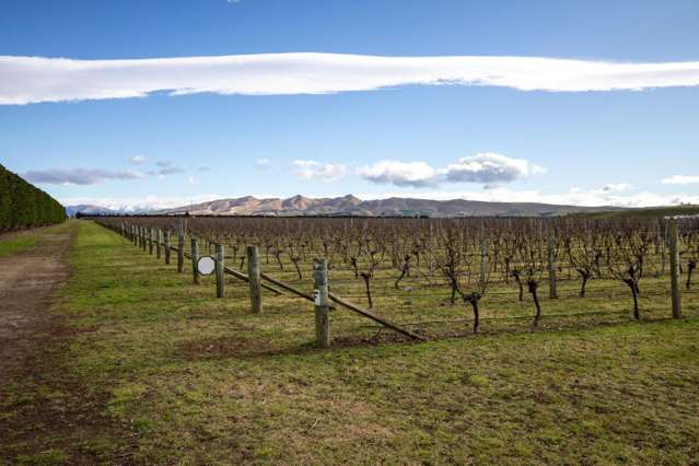 100 Georges Road Waipara_4