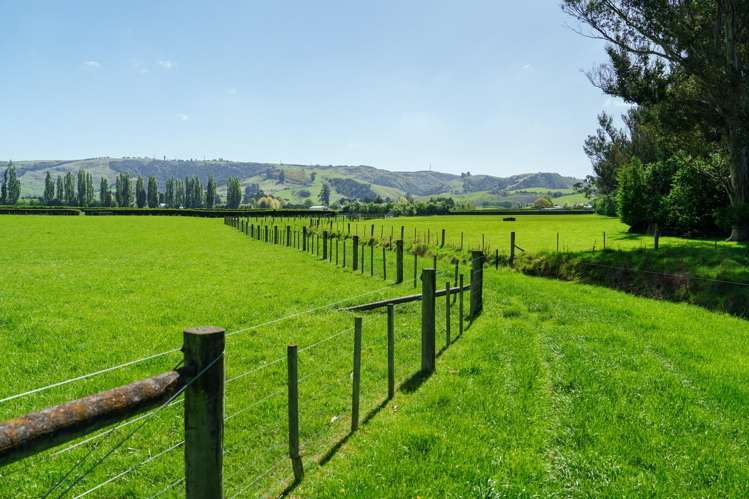 65 School Road North North Taieri_46