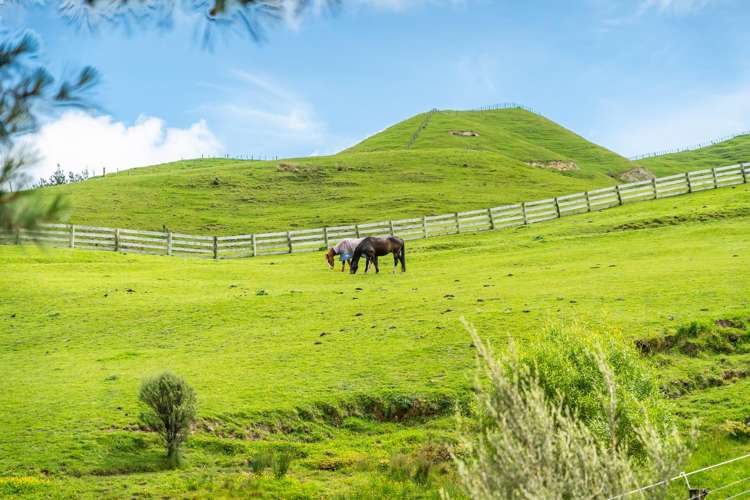 97 Coroglen Rise Pukerua Bay_24