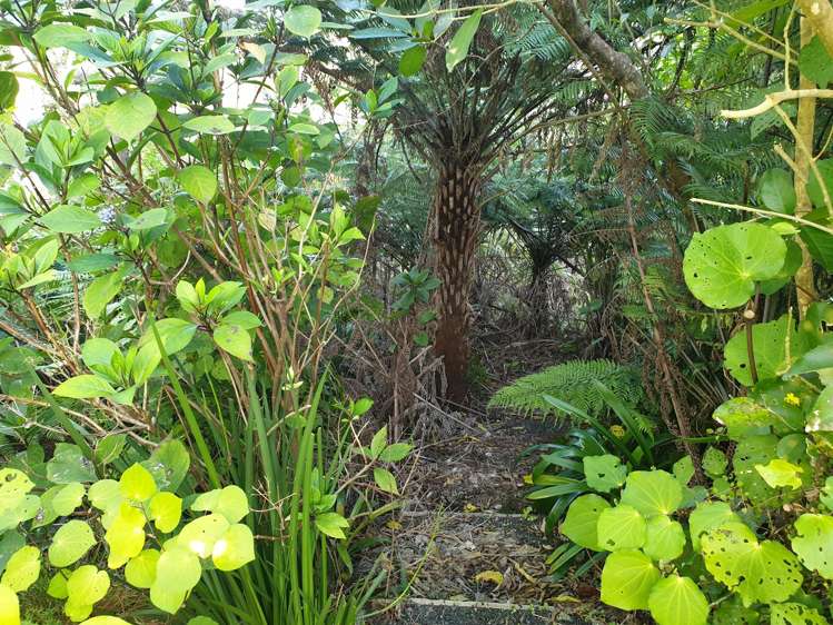 15 Puriri Place, Tuateawa_46