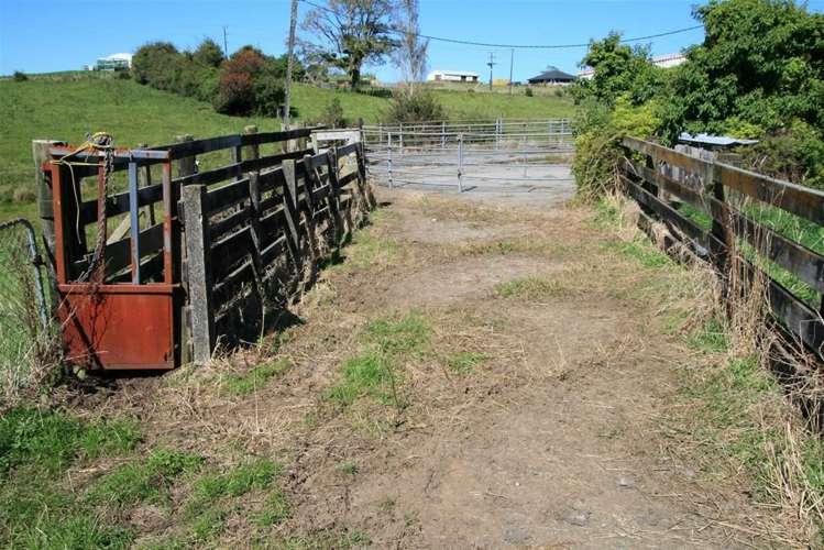 185 Bristol Road Pareora_5