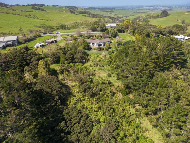 241 Kiwitahi Road Helensville_33