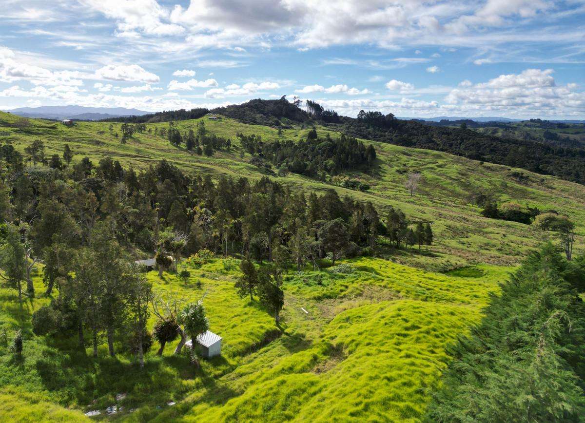 Lot lot 2 Koutu Loop Road_4