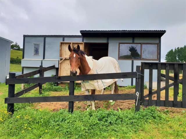 63a Saxton Road Upper Vogeltown_2