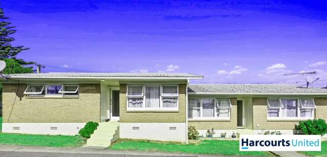 1 & 2/17 Church Street Otahuhu_1