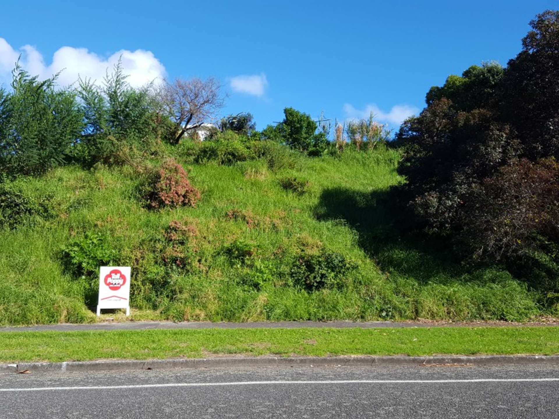 12 Weggery Drive Waikanae Beach_0